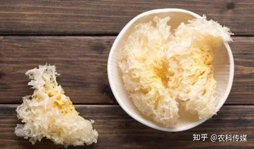 银耳的营养价值与药用价值