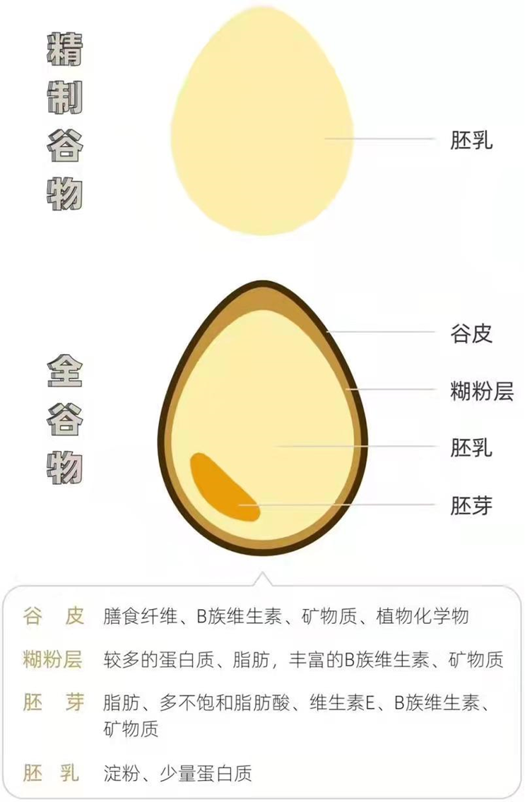 燕麦的营养价值及功效作用禁忌(燕麦的营养价值及功效作用禁忌是什么)