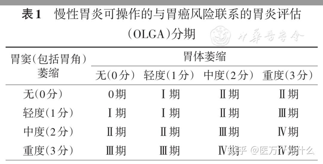 慢性萎缩性胃炎的病理分级分期的胃镜复查时间 知乎