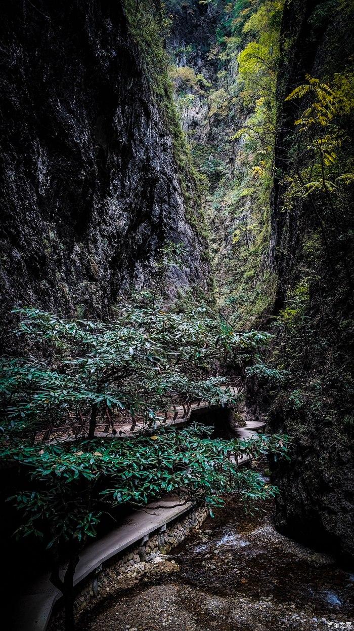 一人一唐,自驾洛南金丝峡,瞰五彩斑斓深秋神瀑峡沟