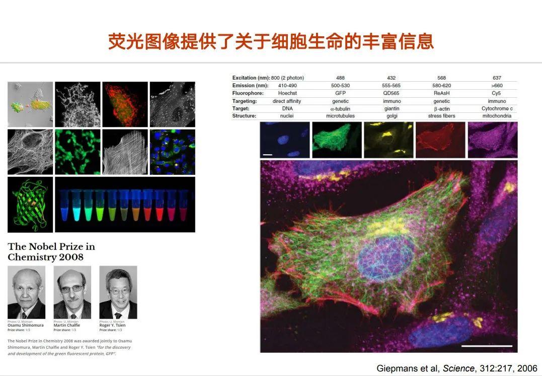 AI+生物计算：用计算机视觉技术理解细胞生命 - 知乎