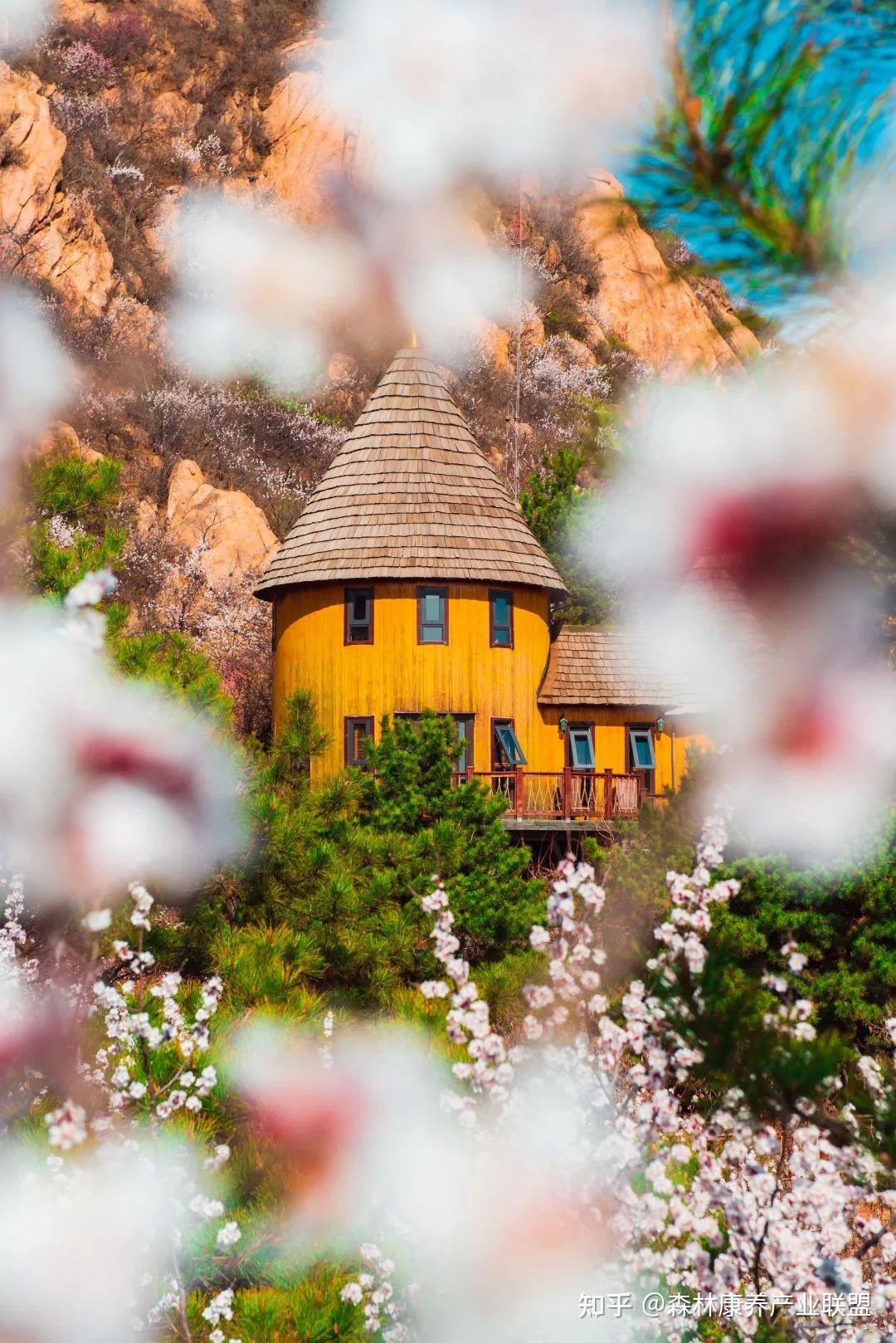 常务理事单位丨北京市密云区云峰山森林康养基地