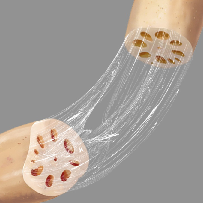 特仑苏自然科学课堂植物里的爱情学