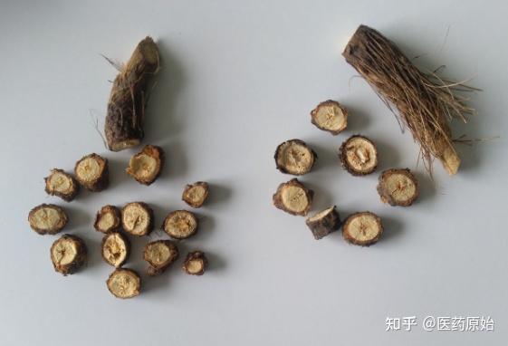 带你识别前胡 - 知乎