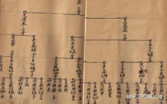 身为修谱人，应如下编写世系图 - 知乎