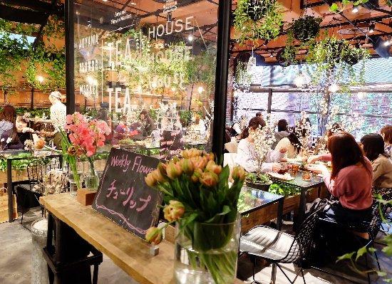 如果你也想开一家咖啡店 这些店或许可以带来新灵感 知乎 如果你也想开一家咖啡店 这些店或许可以带来新灵感 知乎