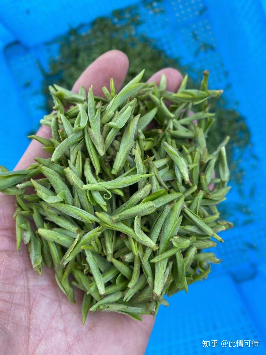 鸠坑龙井茶 - 知乎