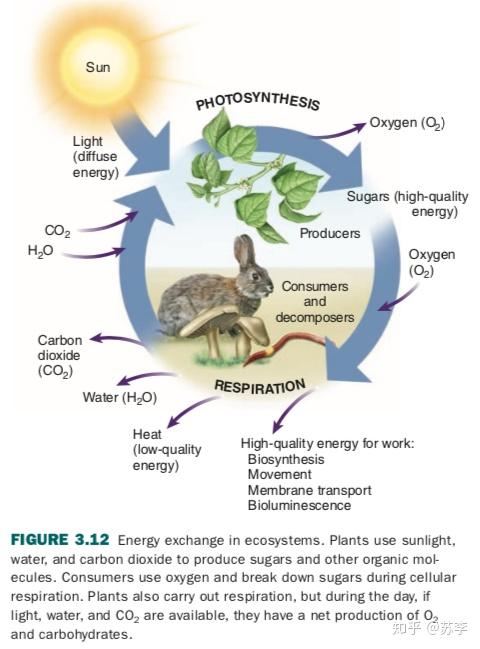 ap环境科学自学系列topic2重点梳理习题练习2