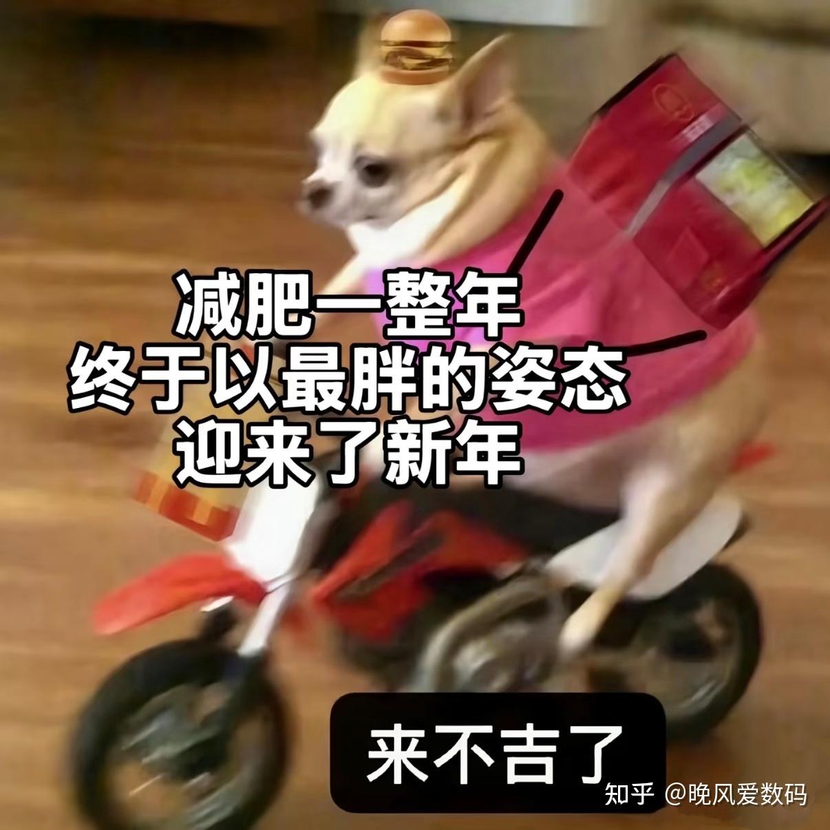 2026年有什么骨传导运动耳机推荐?南卡Runner4骨传导运动耳机,轻量设计,颜值与音质双在线