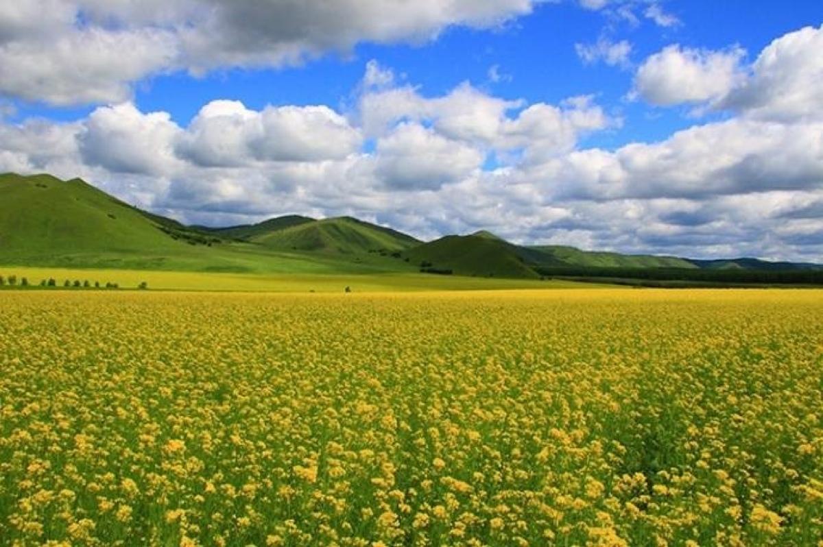 内蒙古面积相当于几个日本