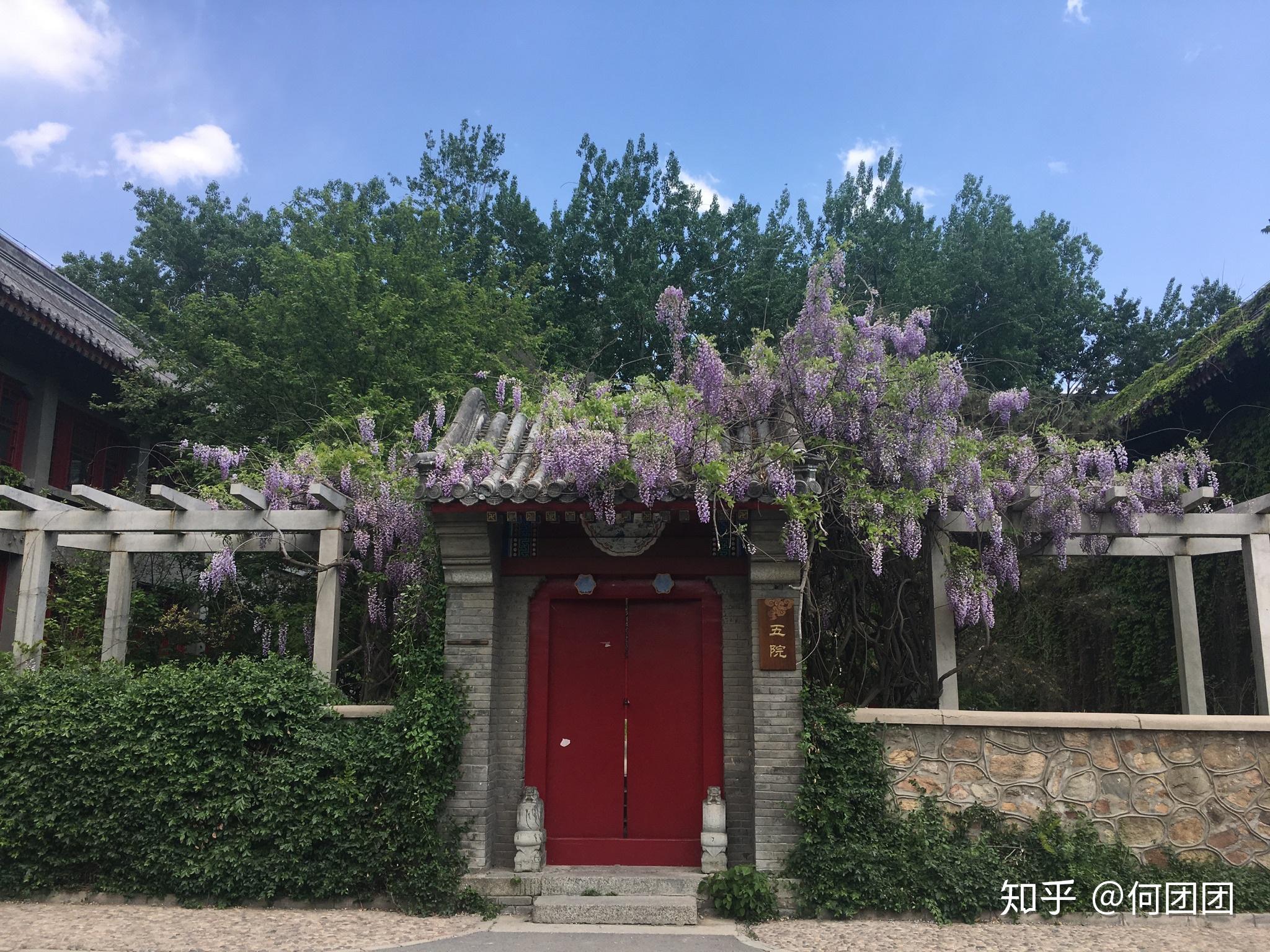 春日静园(借一张五院代替二院)一点私人感受,以上.