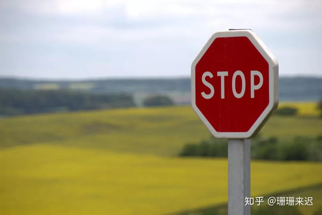 新西兰开车小攻略 - 知乎