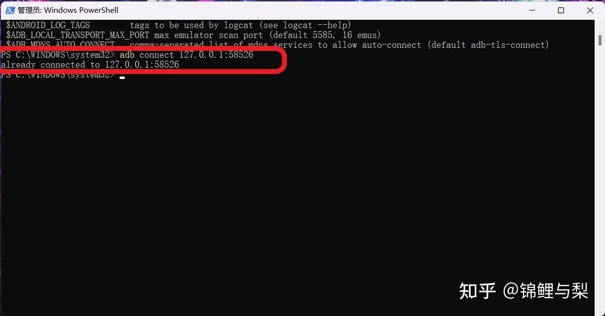 Win11 