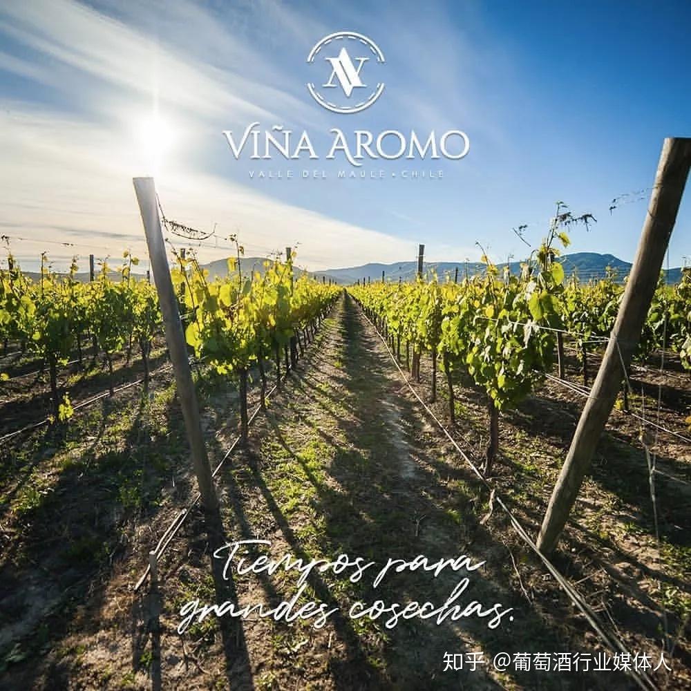 winesofchile携知名酒庄火热登陆2020winetoasia