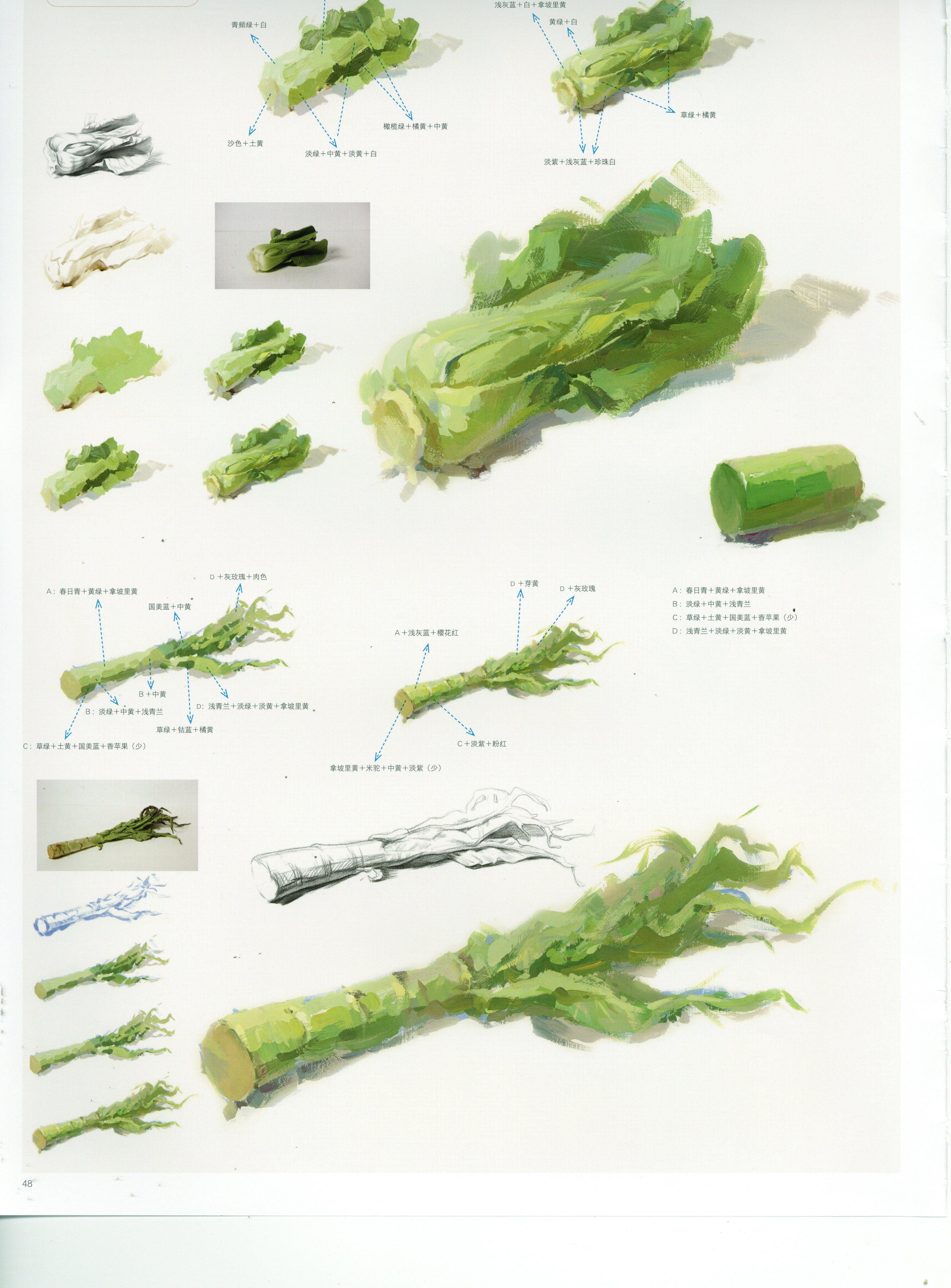 干货 | 水粉单体【蔬菜&鱼系列】塑造高清教材,赶紧收藏临摹!