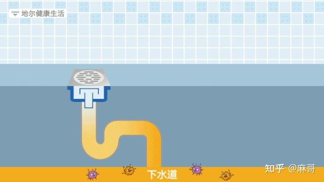当设置反水弯的地漏没有防臭芯,由于用户很难做到定期往地漏里添加