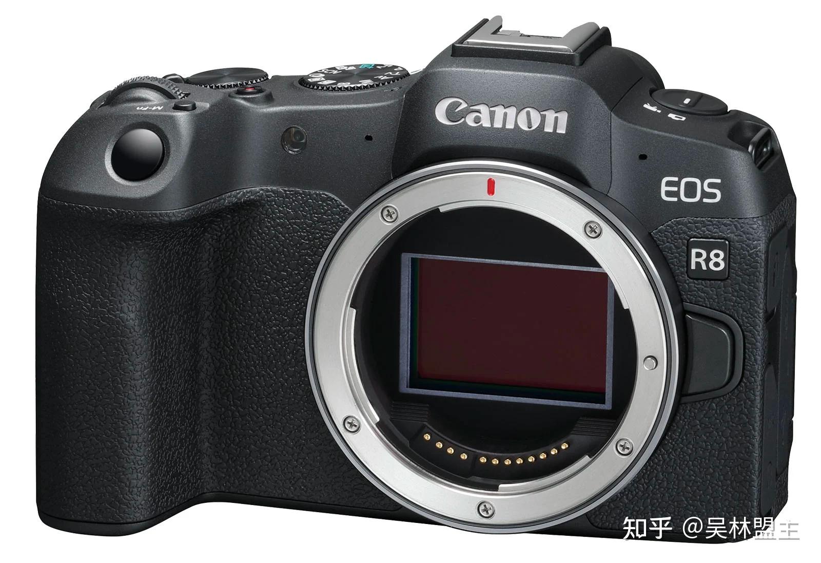 佳能 EOS R8 评测:适合大多数人的最佳全画幅佳能 - 知乎