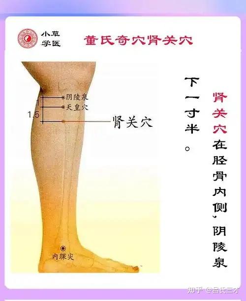 董氏奇穴十大妙用 - 知乎