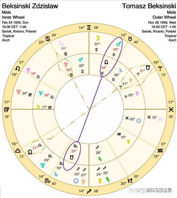 比較盤分析親子關係貝克辛斯基的噩夢