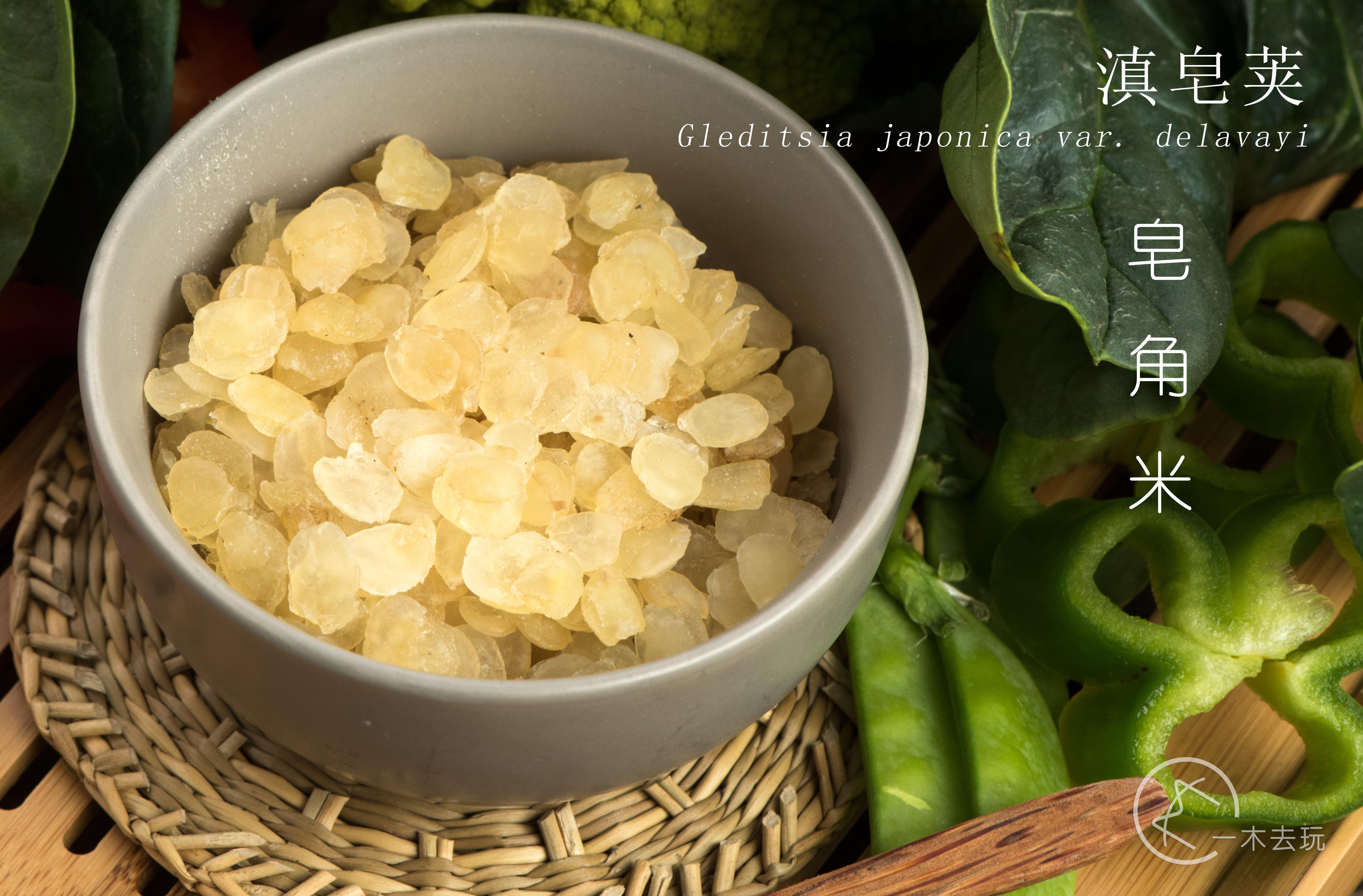 真正的皂角米是什么味道(正宗的皂角米是什么颜色的) - 医药经