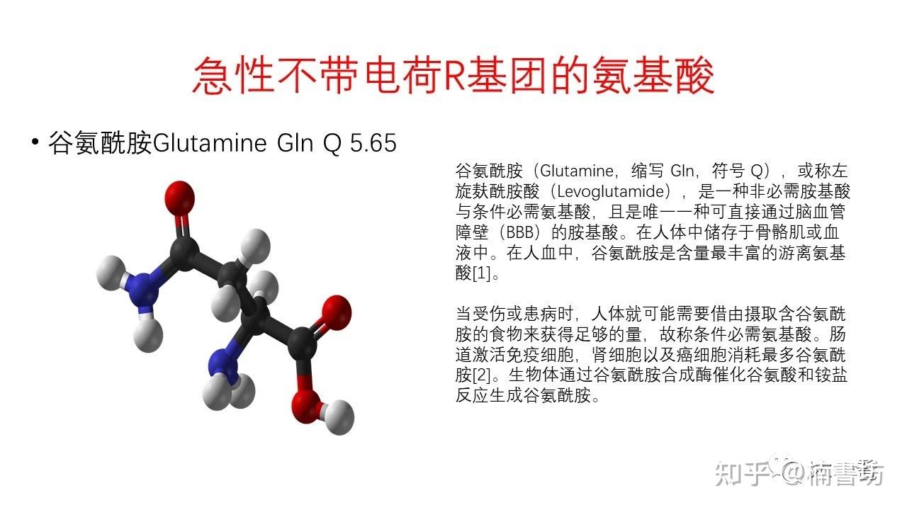 氨基酸结构式与分类 - 知乎