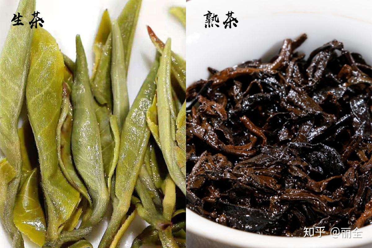 怎麼區分普洱茶生茶和熟茶