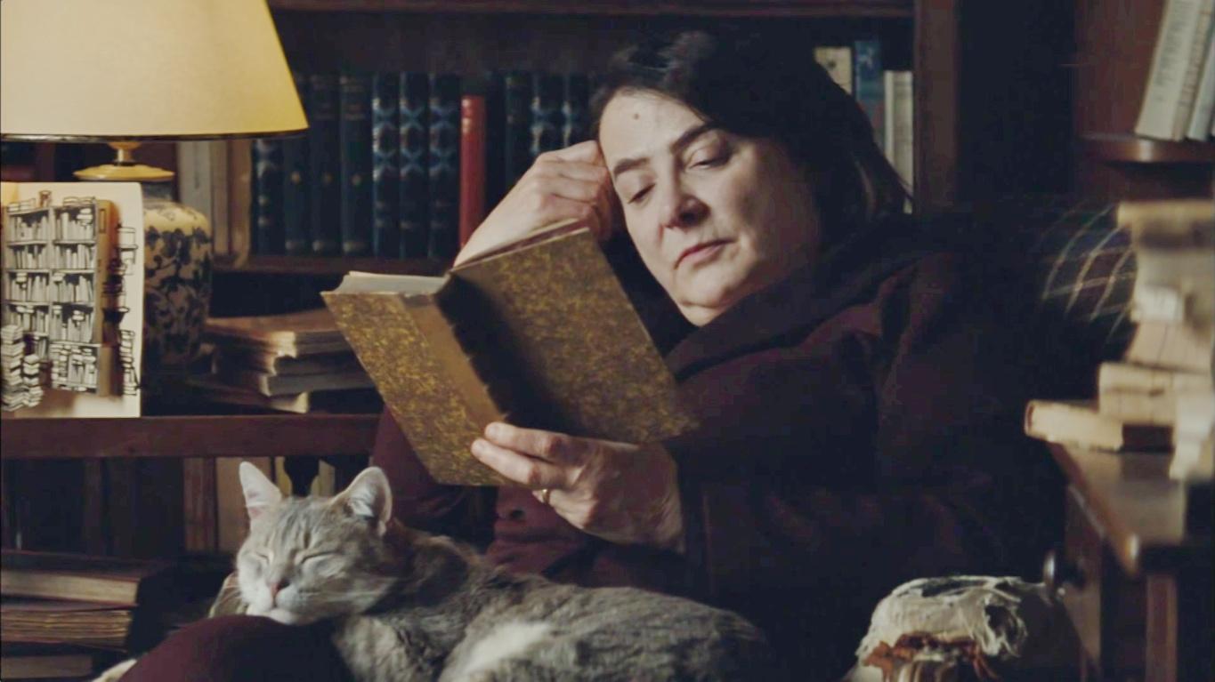 刺猬的优雅三两根刺刚刚好