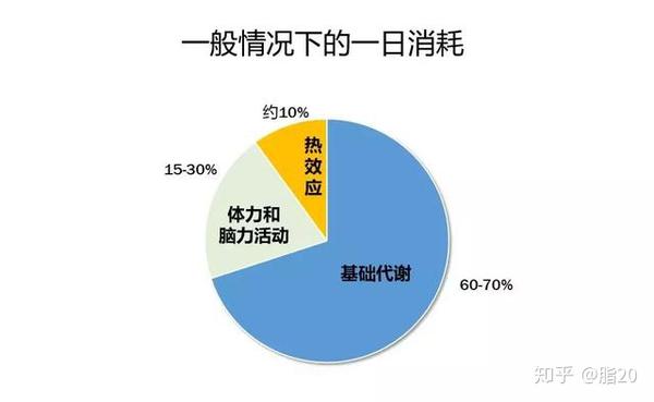 想减脂 光靠运动不够 知乎