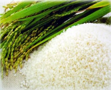 大米怎么画简单又好看 v2-ff51464f967a78f8d5c1f8844aa6182b_1440w.jpg?source=172ae18b