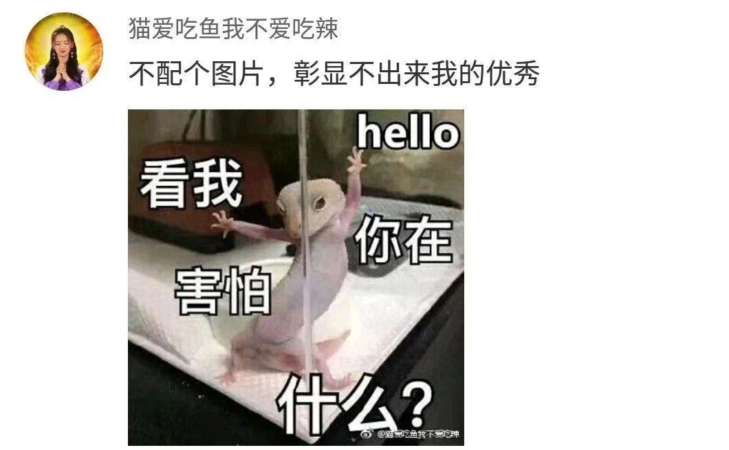 尬聊不够表情包来凑
