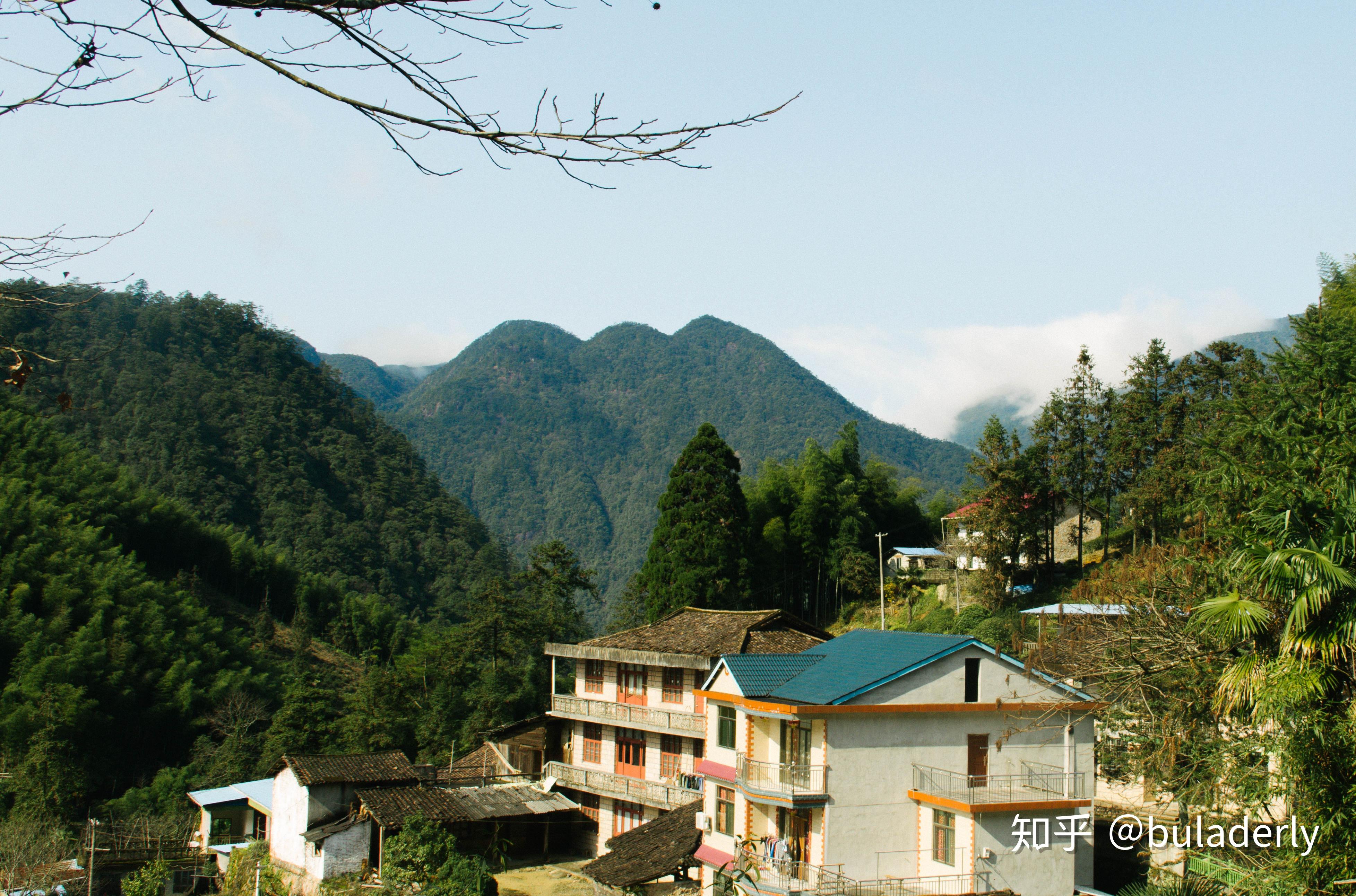 倒水等几个自然村,大部分茶山海拔也在1000m左右(如倒水,大竹岚),小