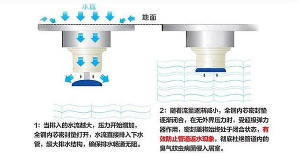 防异味地漏原理图图片