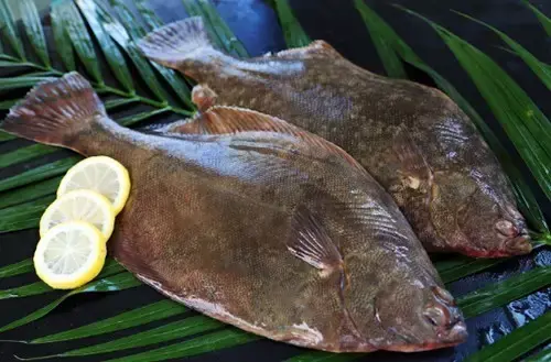 鱼肉作为辅食时,应避免选择体型较大的或含汞量特别高的鱼类,如剑鱼