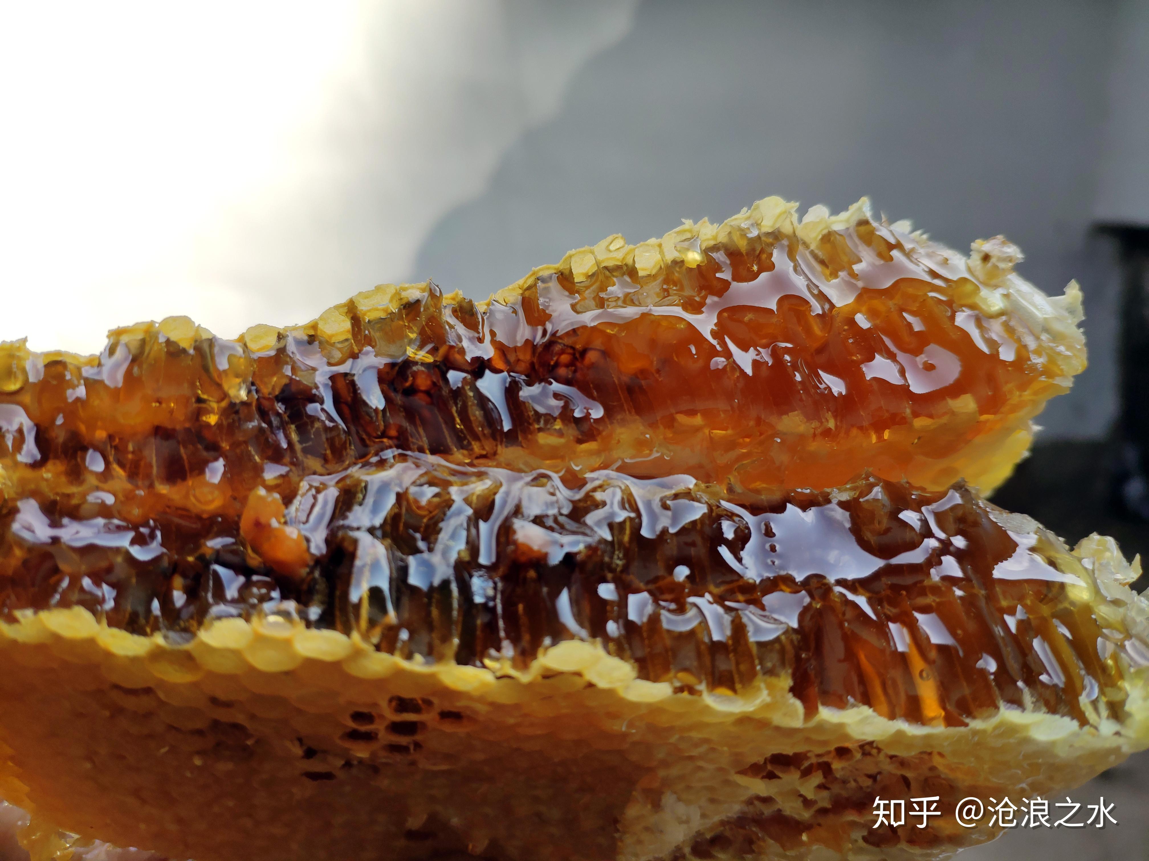 武汉蜂蜜摄影拍摄，纯天然，不是浓缩蜜！|摄影|产品摄影|唯艺创索摄影 - 原创作品 - 站酷 (ZCOOL)