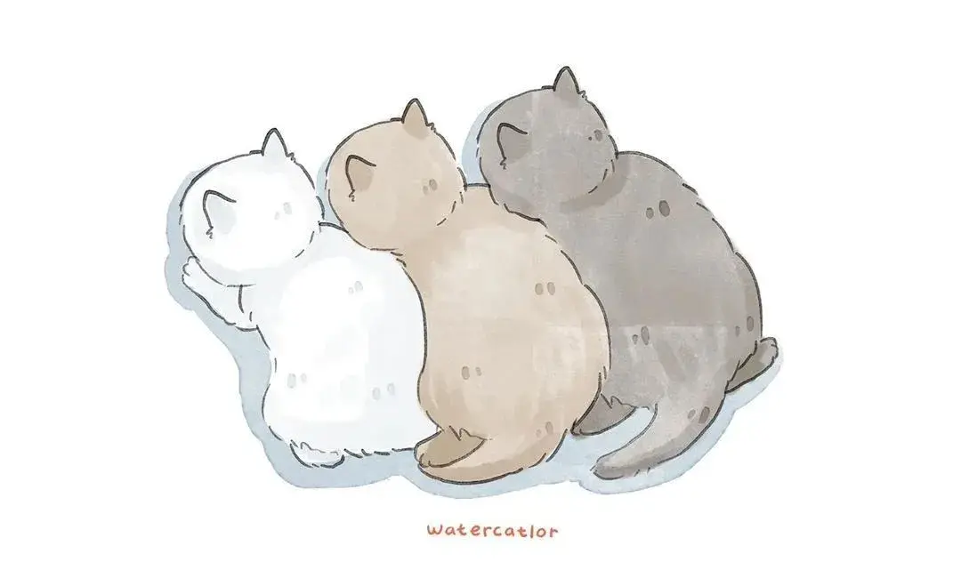猫咪到底有多傻60张沙雕猫咪名场面告诉你原谅我不厚道的笑了哈哈哈哈