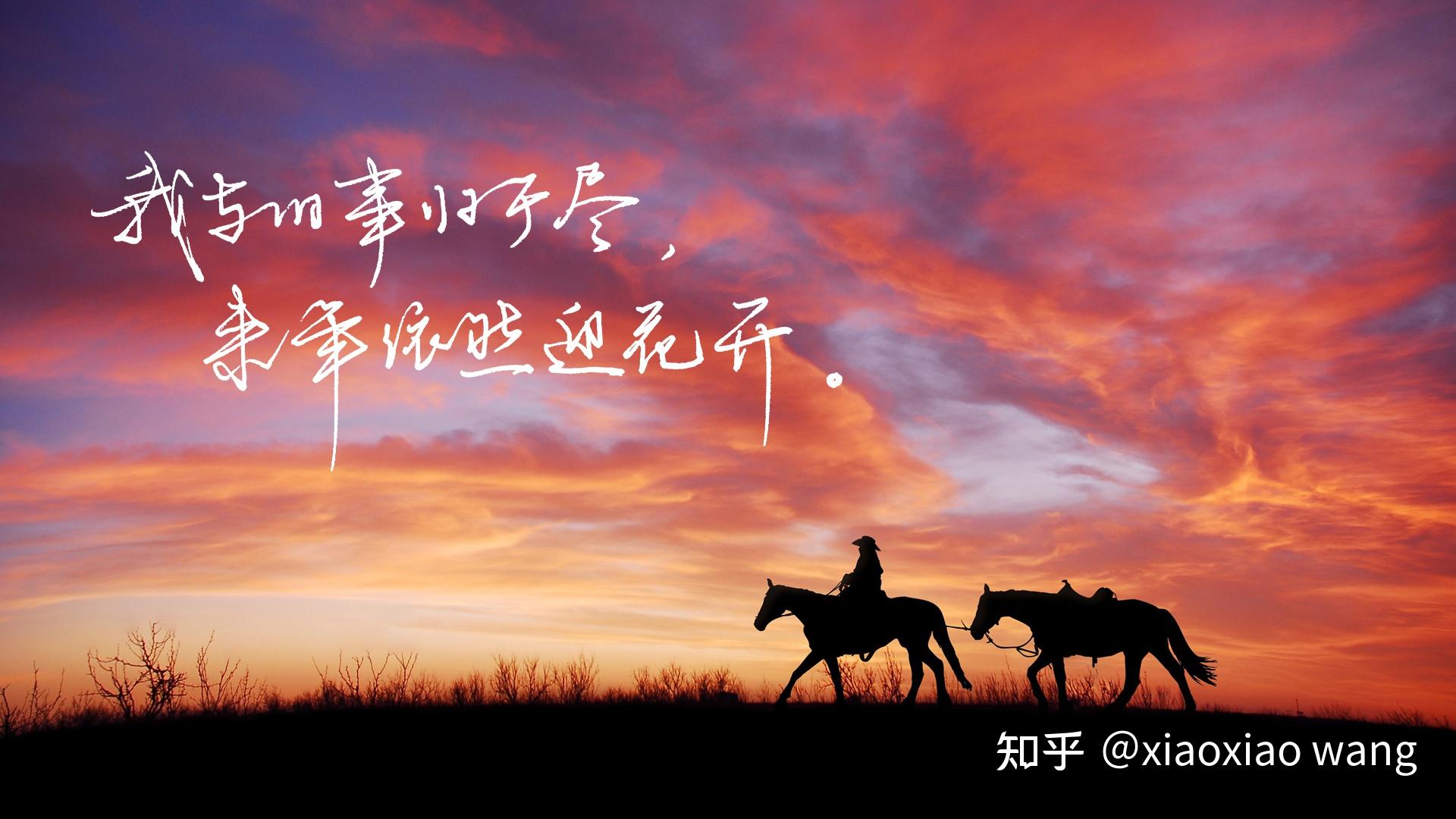 “我与旧事归于尽,来年依然迎花开。” - 知乎