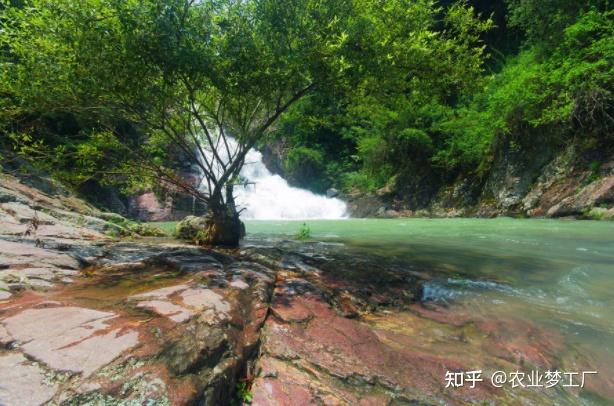 余姚最值得一去的旅游景点有哪些？看完这一篇攻略就够了 - 知乎