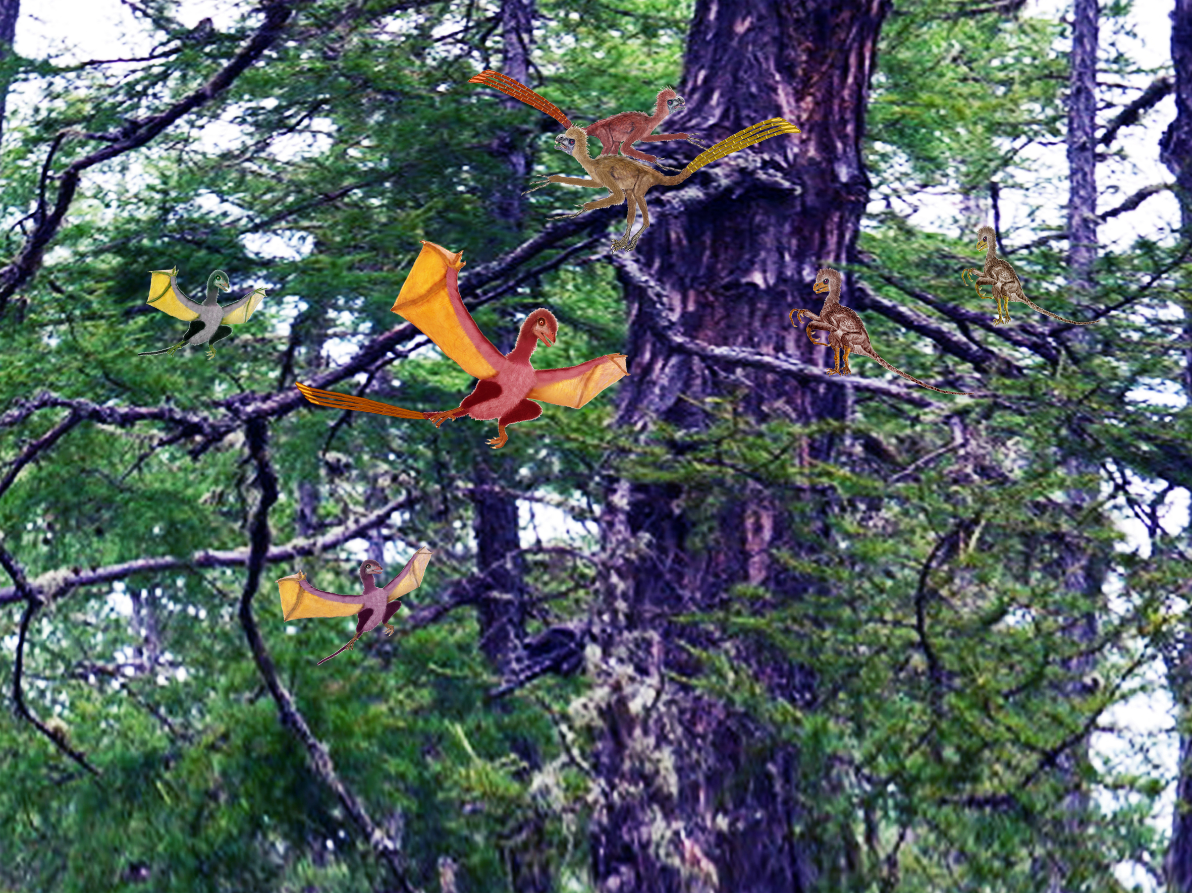 恐龙故事丨恐龙界的超大奇葩奇翼龙