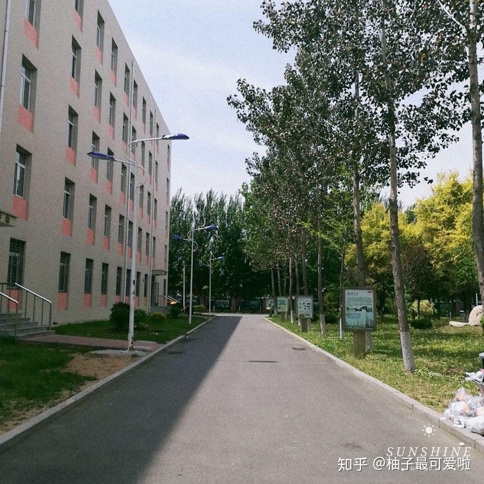 在辽阳一高中读书学习是怎样一种体验?