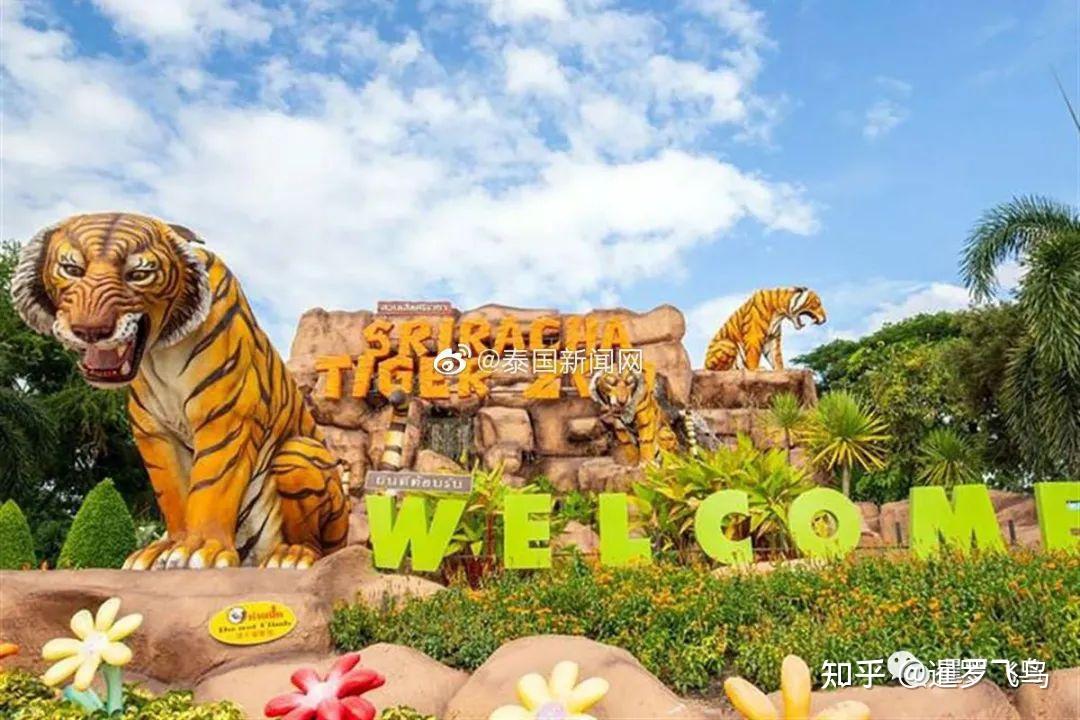 泰国芭堤雅著名景点龙虎园永久关闭逾5000只动物被运走