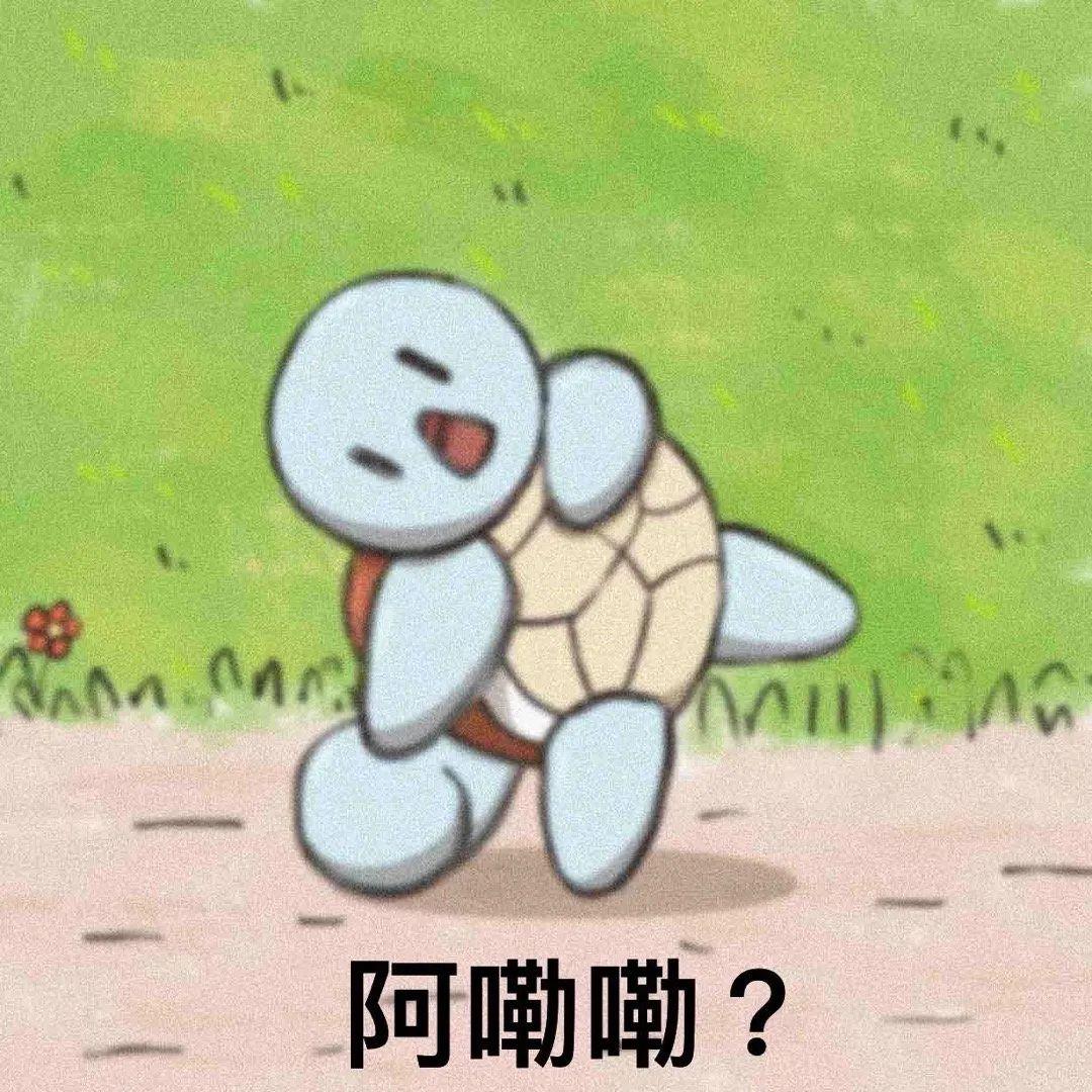 杰尼龟的表情包 - 知乎