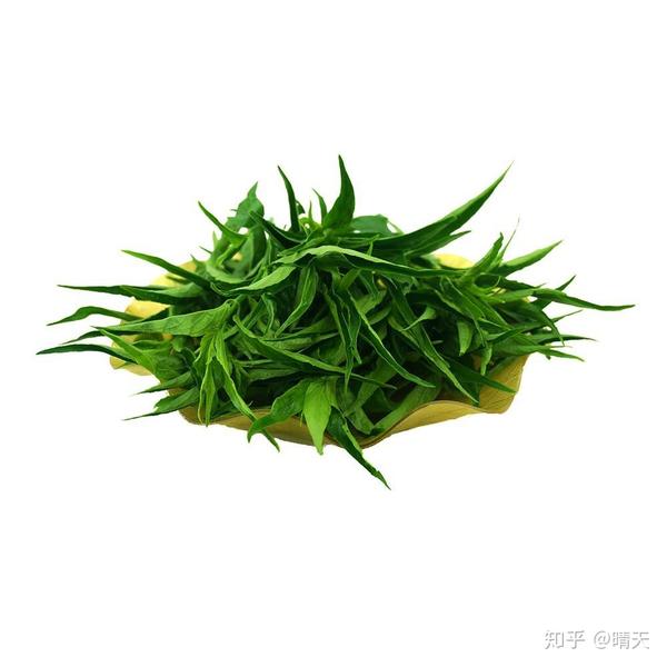 給你介紹一種乾貨:憂遁草